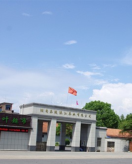 新聞動(dòng)態(tài)
